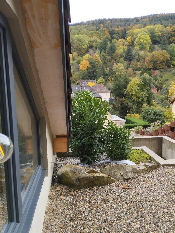 L'Ecrin Des Biches Bed & Breakfast Sainte-Marie-aux-Mines Exterior photo